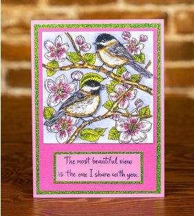 Advanced Beautiful Birds and Blossoms Card Class, Friday 11:30a-1:30p